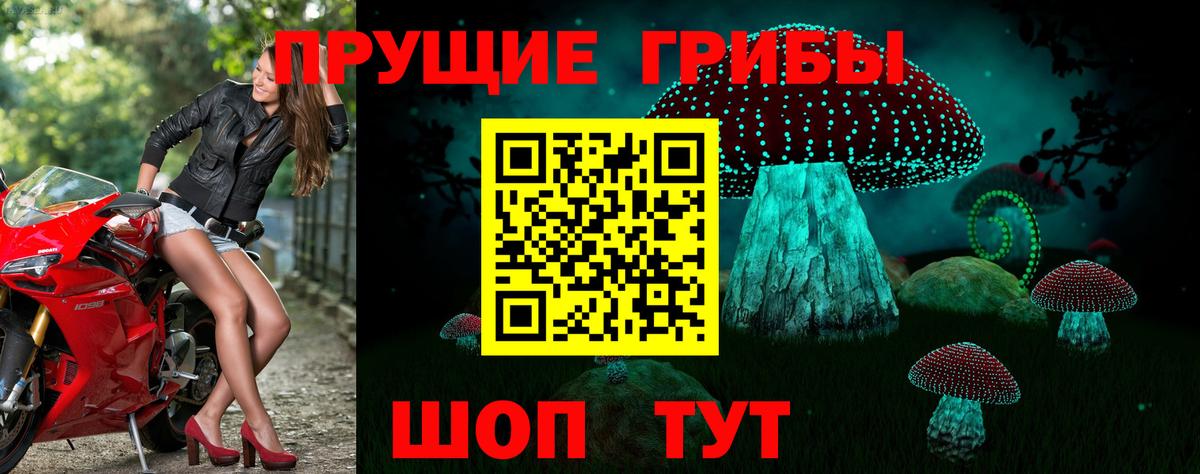 Галлюциногенные грибы Psilocybine cubensis Серов